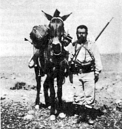 Compagnie montée