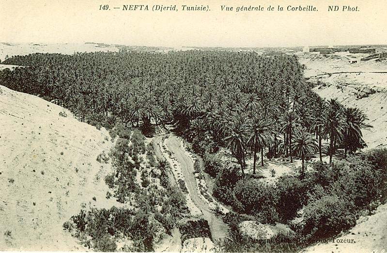 Les marais dans la zone de Nefta - Tozeur