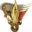 Insigne du 3ème R.E.P.