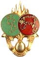 Insigne du D.C.R.E.