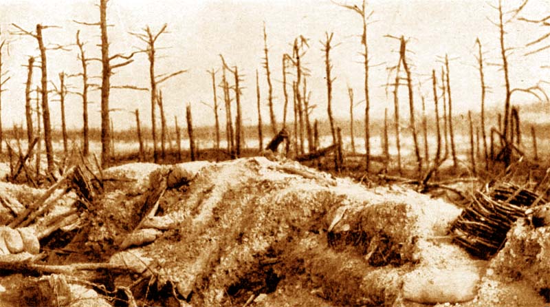 Paysage de Verdun en août 1917