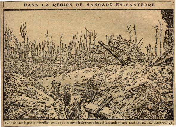 Le bois de Hangard-en-Santerre